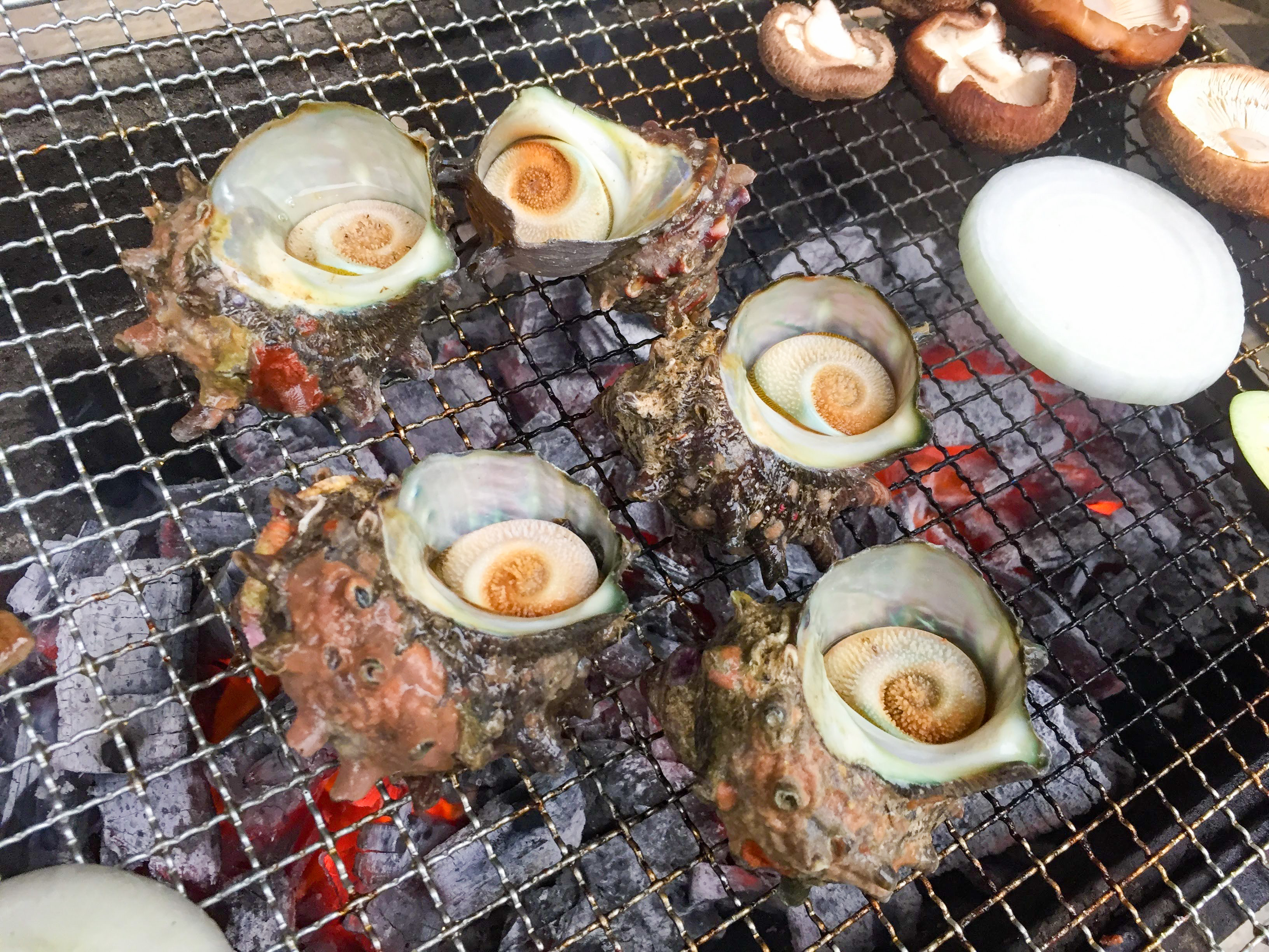 バーベキュー 八丈島1